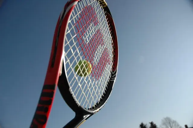 Les 10 Meilleures Étoiles du Tennis à Suivre