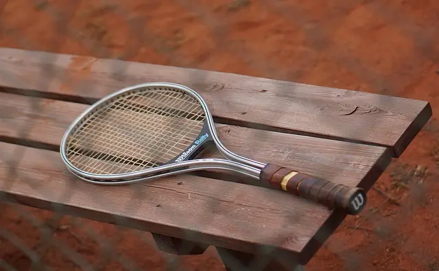 Les Étoiles du Tennis : Comment Analyser Leur Style de Jeu