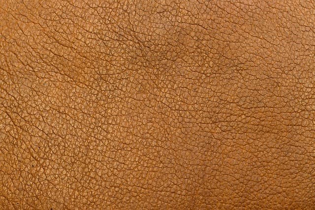 Comment Évaluer le Style de Jeu des Étoiles du Tennis